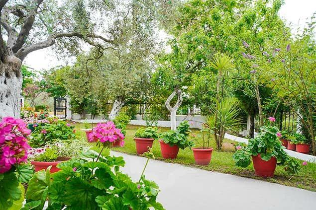 Studios Panagiotas House Αστρίδα Εξωτερικό φωτογραφία
